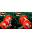 NEI 40NE5901 LED TV televízió, 100cm, Smart, Full HD, E energiaosztály