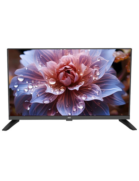 NEI DLED 24NE4001C TV, 60 cm, HD, E energiaosztály