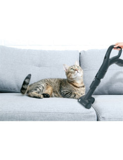 Hoover 39002215 HP720PET 011 850 W, 68 dB, 2 l Fekete-Átlátszó-Ezüst porszívó