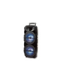Hordozható hangszóró NEI BT2001, 15 W RMS, mikrofon, Bluetooth, USB, rádió, MicroSD, fekete